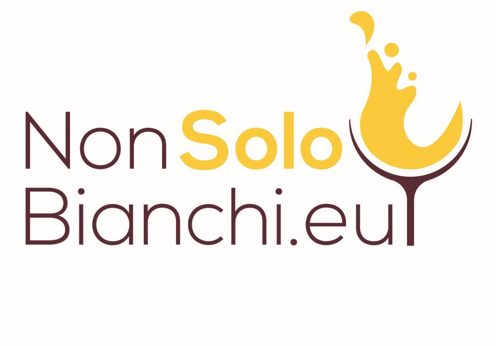 Logo NonSoloBianchi